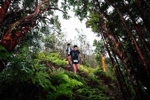 BIB: 
                            <button type="button" onclick="openModal(26201841)" class="btn btn-primary btn-sm float-right btn-popup" data-toggle="modal" data-target=".modal-high-quality">
                        <i class="fas fa-shopping-cart"></i> Add to Cart
                    </button>
                                            <button type="button" onclick="isThisMe(26201841, true)" class="btn btn-success btn-sm float-right btn-popup btn-isme hidden" data-toggle="tooltip" data-placement="bottom" title="นี่คือรูปของคุณใช่ไหม คลิกที่นี่เพื่อเอาเข้าอัลบั้ม">
                        <i class="fas fa-plus"></i> Add to album
                    </button>
                    <button type="button" onclick="isThisMe(26201841, false)" class="btn btn-warning btn-sm float-right btn-popup btn-isnotme hidden">
                        <i class="fas fa-ban"></i> Remove from album
                    </button>